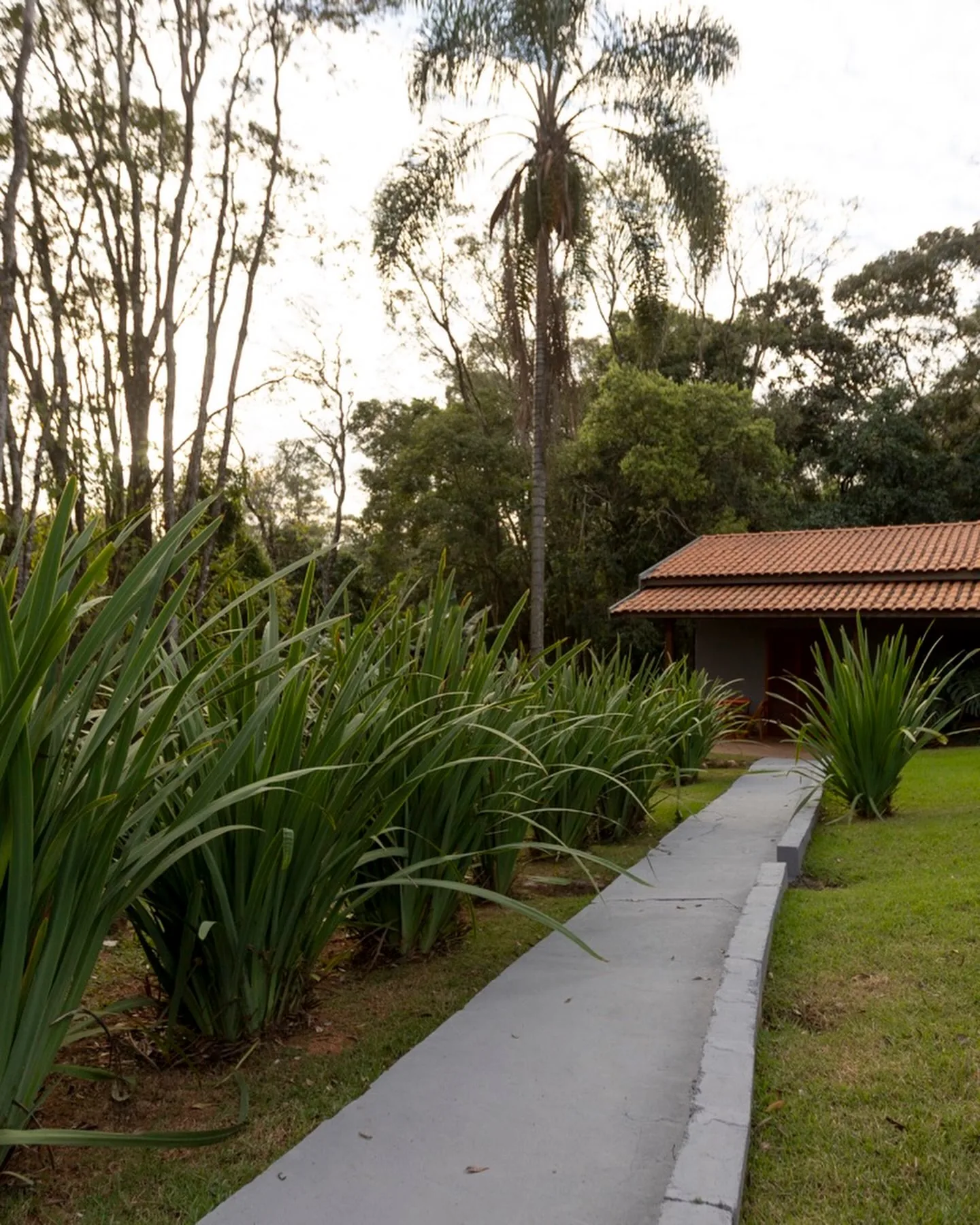 Jardim do Recanto Baracho